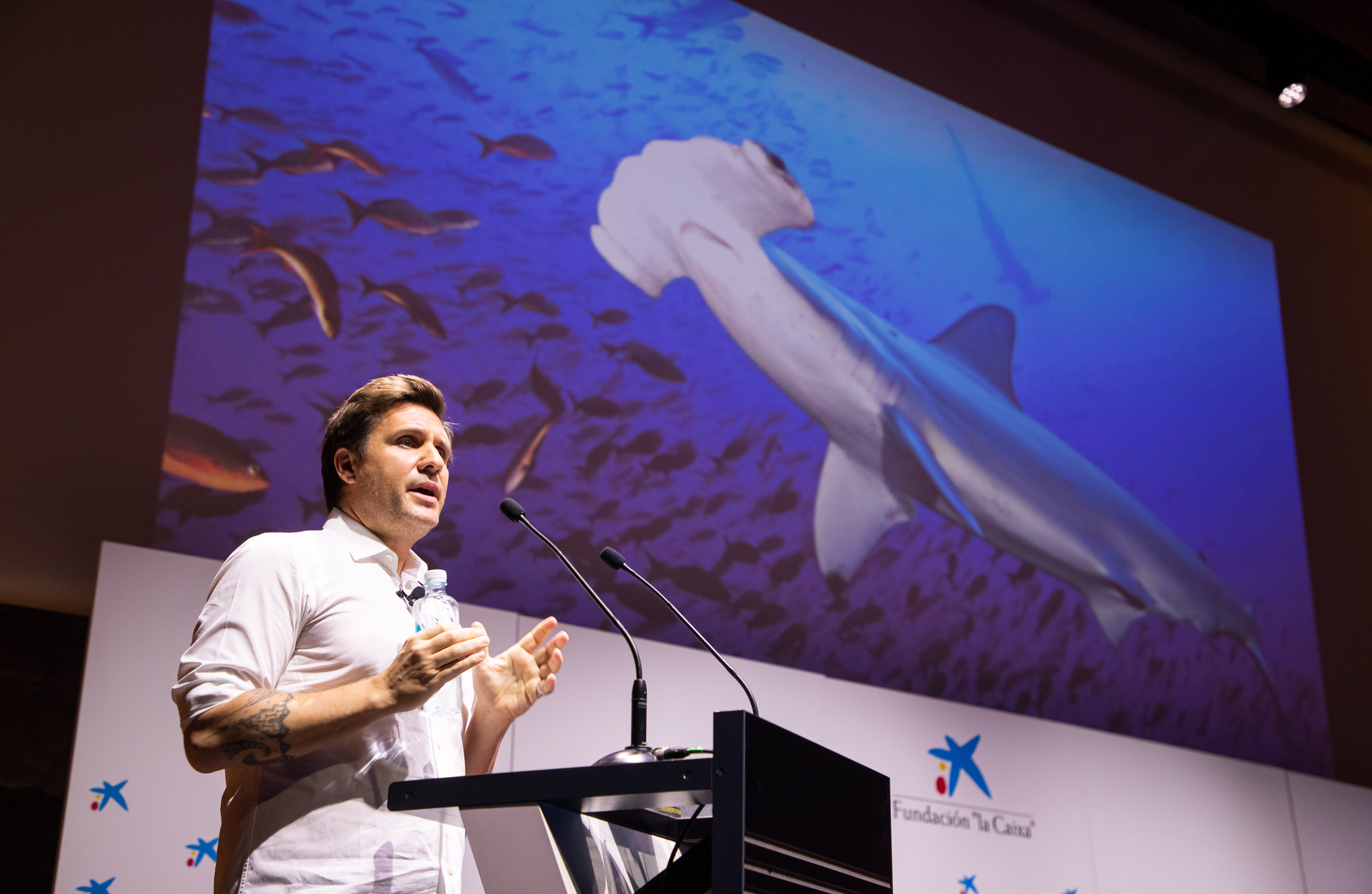 Markus Reymann, Director of TBA21-Academy - 